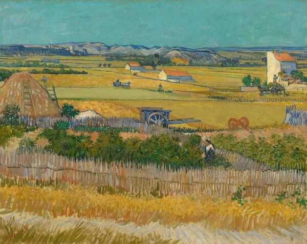 A Colheita - van Gogh - Tela 30x38 Para Quadro - 1
