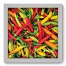 Quadro com Moldura - 22x22 - Pimentas - N1113 - 1