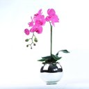 Ver imagem 1 de Arranjo de Orquídea Pink em Aquário Espelhado Íris
