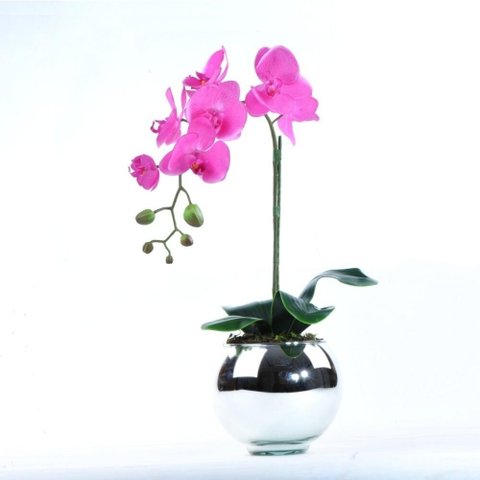 Arranjo de Orquídea Pink em Aquário Espelhado Íris