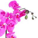Ver imagem 3 de Arranjo de Orquídea Pink em Aquário Espelhado Íris