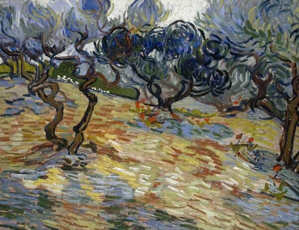 Oliveiras (1889) - van Gogh - Tela 50x65 Para Quadro - 1