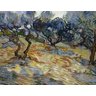 Oliveiras (1889) - van Gogh - Tela 50x65 Para Quadro - 1