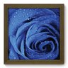 Quadro com Moldura - 22x22 - Rosa - N2048 - 1