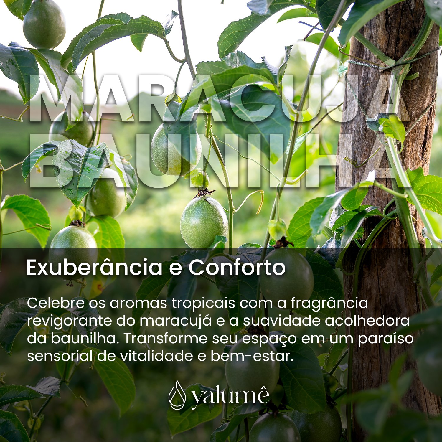 Água Perfumada Maracujá com Baunilha  500ml - Yalumê - Água de Lençóis, Perfume para Roupas - 3