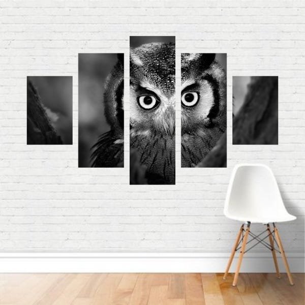Quadro Preto e Branco Coruja Ave Pássaro Olhar Animal Canvas - 1