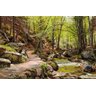 Riacho das pedras - Monsted - Tela 30x46 Para Quadro - 1
