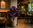 Ver imagem 2 de Planta Artificial Decorativa Calathea Roxa com 12 Folhas – 60 cm