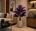 Ver imagem 1 de Planta Artificial Decorativa Calathea Roxa com 12 Folhas – 60 cm