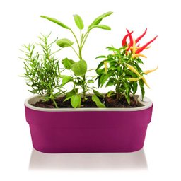 Hortinha Autoirrigável Linha Plantar HT180 Verde Escuro - 4