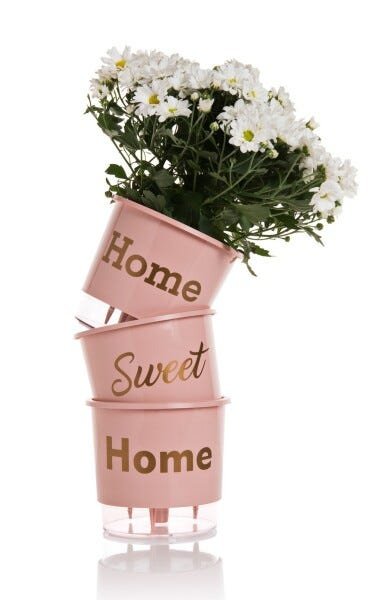Conjunto 3 Vasos Autoirrigáveis Pequeno Coleção Wishes N2 HOME SWEET HOME cor Rosa Quartz - 1