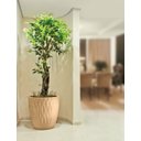 Ver imagem 2 de Vaso Infinity Redondo 50 Areia