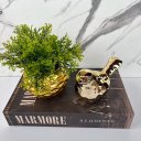 Ver imagem 4 de Livro decorativo 'Marmore', vaso dourado e pássaro cerâmico