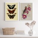 Ver imagem 2 de Kit 2 Quadros para Varanda Pássaro e Borboletas 24x18cm - com Vidro:madeira Branca