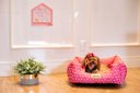 Ver imagem 6 de Cama Quadrada para Cachorro ou Gato Luppet Luxo Rosa Ossinho - M