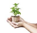 Ver imagem 2 de Avental Infantil Kit Jardineiro - Alegria sem Bateria