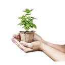 Ver imagem 2 de Avental Infantil Kit Jardineiro - Alegria sem Bateria