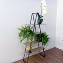 Ver imagem 3 de Prateleira Jardinagem Expositor Paisagismo Loja Comércio Decoração Livros
