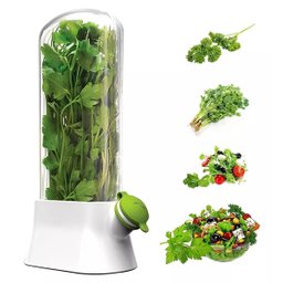 Dispenser Recipiente Conserva Ervas Frescas Armazenamento Geladeira Alecrim Salsa Aspargo Hortela Co - 11