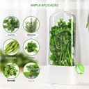 Ver imagem 3 de Dispenser Recipiente Conserva Ervas Frescas Armazenamento Geladeira Alecrim Salsa Aspargo Hortela Co