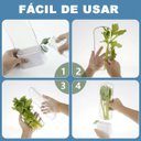 Ver imagem 7 de Dispenser Recipiente Conserva Ervas Frescas Armazenamento Geladeira Alecrim Salsa Aspargo Hortela Co
