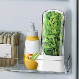 Dispenser Recipiente Conserva Ervas Frescas Armazenamento Geladeira Alecrim Salsa Aspargo Hortela Co - 5