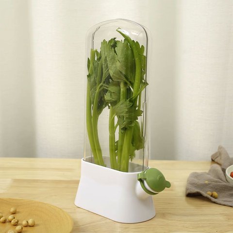 Dispenser Recipiente Conserva Ervas Frescas Armazenamento Geladeira Alecrim Salsa Aspargo Hortela Co