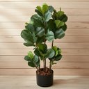 Ver mais imagens de 3 Arbusto Ficus Artificial - Folhagens Reais para Decoração de Interiores e Projetos de Artesanato