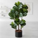 Ver imagem 5 de 3 Arbusto Ficus Artificial - Folhagens Reais para Decoração de Interiores e Projetos de Artesanato