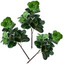 Ver imagem 3 de 3 Arbusto Ficus Artificial - Folhagens Reais para Decoração de Interiores e Projetos de Artesanato