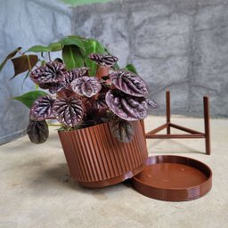 Conjunto de vasos Linhas - M - com pratinho e tripé - Marrom - 3
