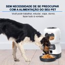 Ver imagem 4 de Comedouro Automatico Programavel Raçao Gato Pet Cachorro Inteligente Programa Horario Refeiçao Tempo