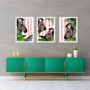 Ver imagem 2 de Kit 3 Quadros Zebras Listras Rosas 24x18cm:moldura Preta