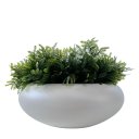 Ver imagem 1 de Vaso Cachepô Off Ikebana Bacia Enfeite de Mesa para Orquídea