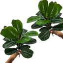 Ver imagem 3 de 12 Folhagens Verdes de Planta Decorativa em Árvore Artificial Ideal para Mesa, Escritório e Salas