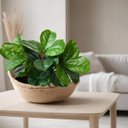 Ver imagem 6 de 12 Folhagens Verdes de Planta Decorativa em Árvore Artificial Ideal para Mesa, Escritório e Salas