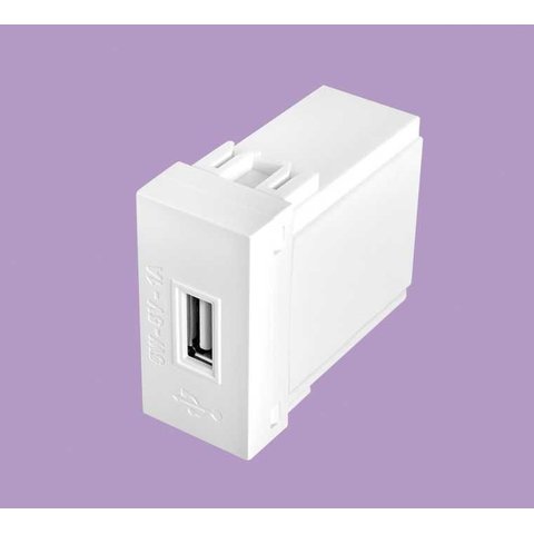 Modulo Tomada Usb Bivolt - Elegance Fame
