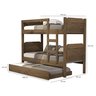 Beliche Bibox Treliche Cama Auxiliar 100% Mdf Top Star Forte: Castanho - 3