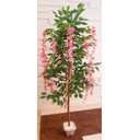 Ver imagem 6 de Planta Artificial Árvore WISTÉRIA ROSA com 1,60 metros de altura