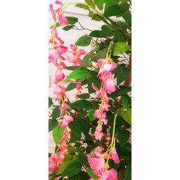 Planta Artificial Árvore WISTÉRIA ROSA com 1,60 metros de altura - 3