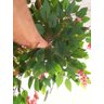 Planta Artificial Árvore WISTÉRIA ROSA com 1,60 metros de altura - 2