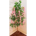 Ver imagem 4 de Planta Artificial Árvore WISTÉRIA ROSA com 1,60 metros de altura