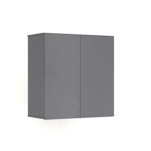 Armário Organizador Compacto Aéreo Apartamento 2 Portas:cinza