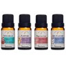 4 Óleos Essenciais Via Aroma para Criança Dormir Comer Acalmar e Respirar Melhor 10ml - 1