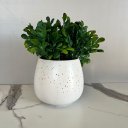 Ver imagem 2 de Vaso cachepot sala quarto branco estilo granilite p/ planta