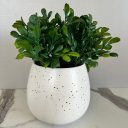 Ver imagem 4 de Vaso cachepot sala quarto branco estilo granilite p/ planta