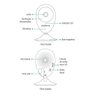 Câmera Interna Wifi Mibo Ic3 Intelbras Imagens em Hd 720p (1280 × 720) Plug e Play Fácil de - 5
