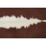 Tapete de couro de boi. Pele bovina natural. L 1,70 x C 2,00 m. Marrom e branco. Ref. P1839 - 2