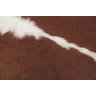 Tapete de couro de boi. Pele bovina natural. L 1,70 x C 2,00 m. Marrom e branco. Ref. P1839 - 4