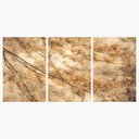Ver imagem 1 de Conjunto Quadro decorativo Árvore Natureza Folhagem de Outono em Tecido